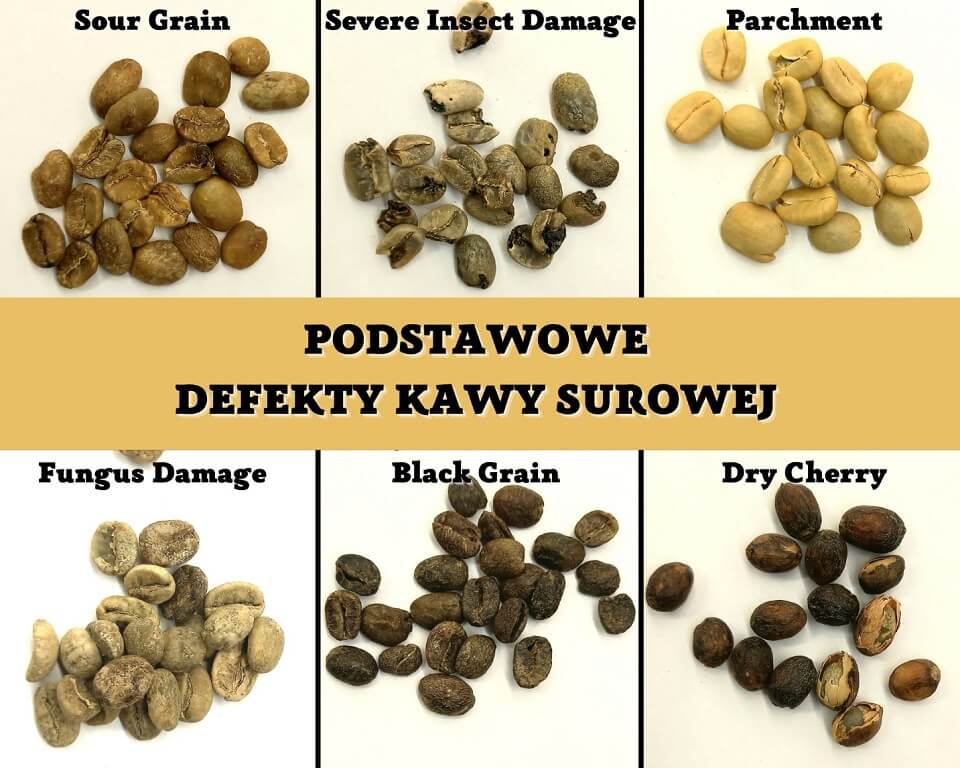 Defekty kawy surowej